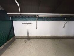 Normanton Park (D5), Terrace #556650791